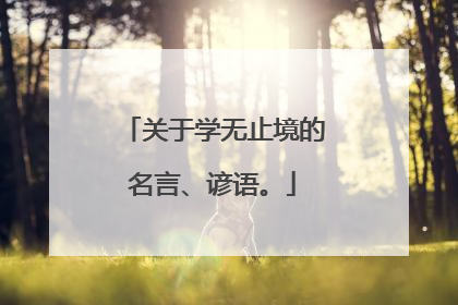 关于学无止境的名言、谚语。