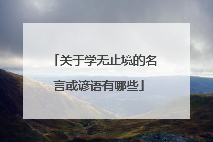 关于学无止境的名言或谚语有哪些