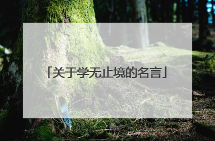 关于学无止境的名言