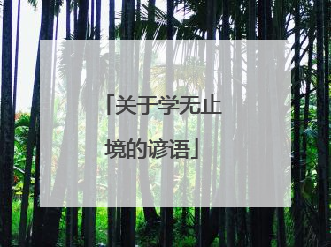 关于学无止境的谚语