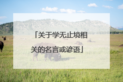 关于学无止境相关的名言或谚语