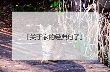 关于家的经典句子