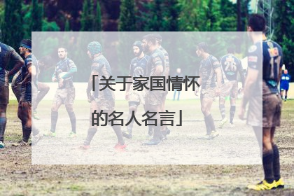 关于家国情怀的名人名言