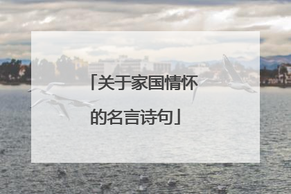 关于家国情怀的名言诗句