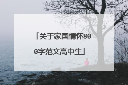 关于家国情怀800字范文高中生