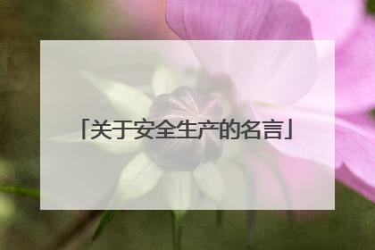 关于安全生产的名言