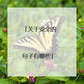 关于安全的句子有哪些