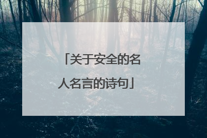 关于安全的名人名言的诗句