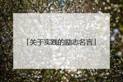 关于实践的励志名言