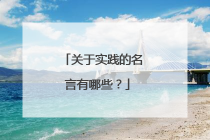 关于实践的名言有哪些?