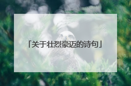 关于壮烈豪迈的诗句