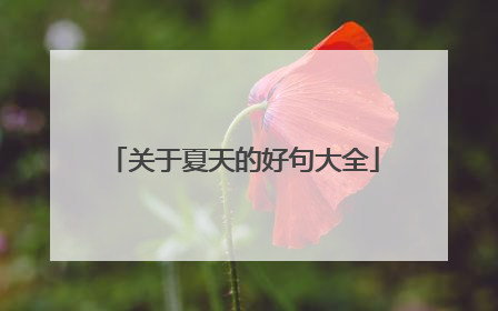 关于夏天的好句大全