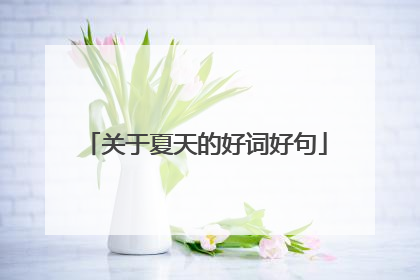 关于夏天的好词好句