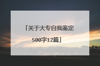 关于大专自我鉴定500字12篇