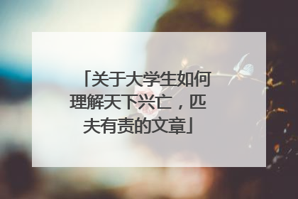 关于大学生如何理解天下兴亡,匹夫有责的文章