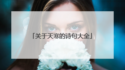 关于天寒的诗句大全