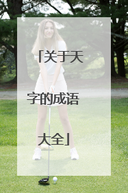 关于天字的成语大全