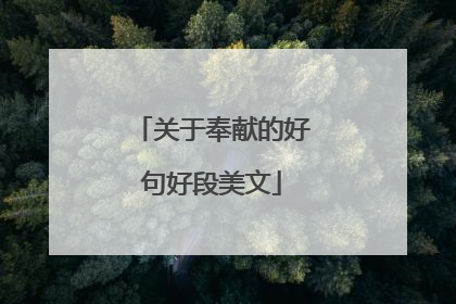 关于奉献的好句好段美文