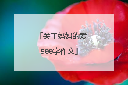 关于妈妈的爱500字作文