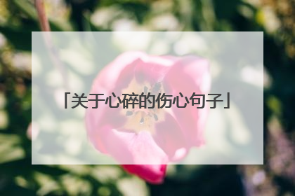 关于心碎的伤心句子