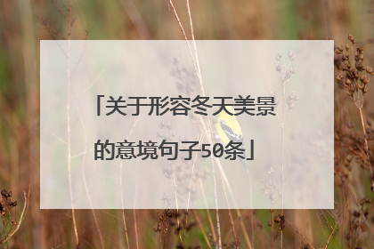 关于形容冬天美景的意境句子50条