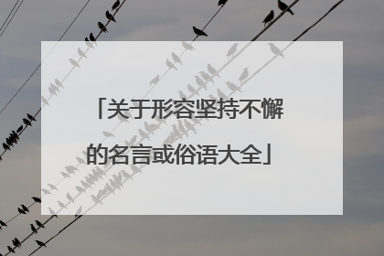 关于形容坚持不懈的名言或俗语大全