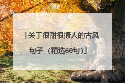 关于很甜很撩人的古风句子 (精选60句)