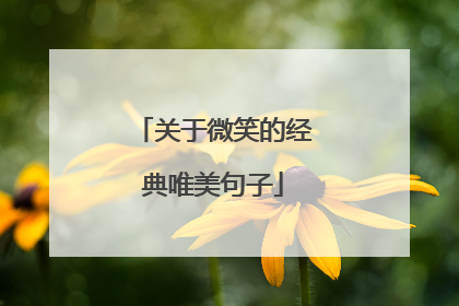 关于微笑的经典唯美句子