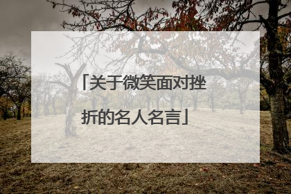 关于微笑面对挫折的名人名言