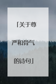 关于尊严和骨气的诗句