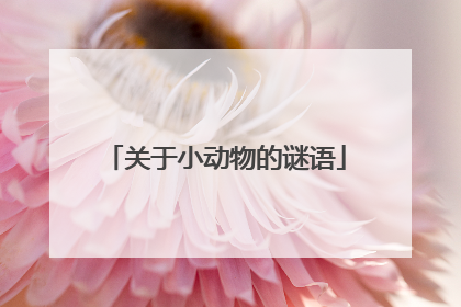 关于小动物的谜语