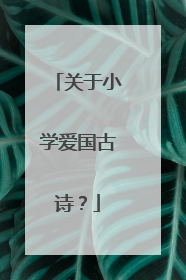 关于小学爱国古诗？