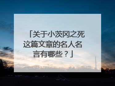 关于小茨冈之死这篇文章的名人名言有哪些？