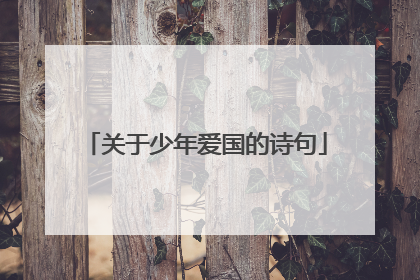 关于少年爱国的诗句
