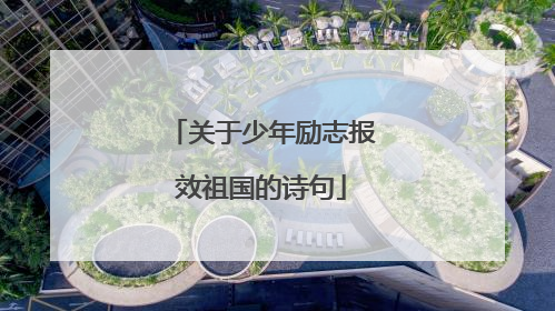 关于少年励志报效祖国的诗句