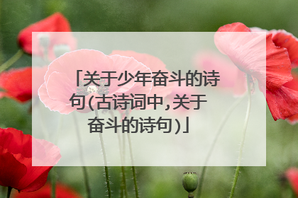 关于少年奋斗的诗句(古诗词中,关于奋斗的诗句)