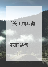 关于屈原荷花的诗句