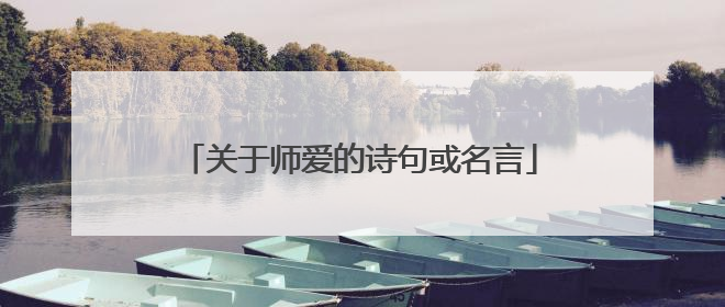 关于师爱的诗句或名言