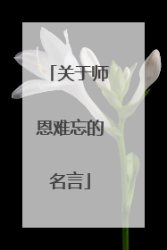 关于师恩难忘的名言