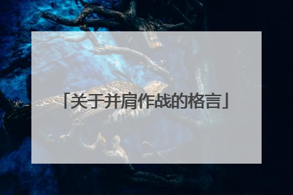 关于并肩作战的格言