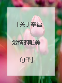 关于幸福爱情的唯美句子