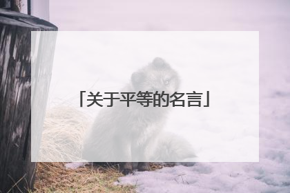 关于平等的名言