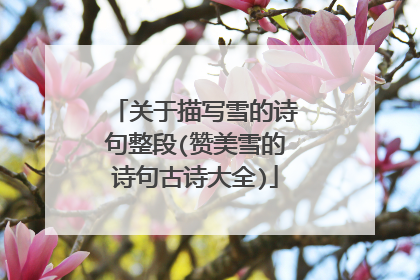 关于描写雪的诗句整段(赞美雪的诗句古诗大全)