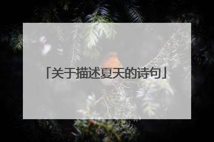 关于描述夏天的诗句
