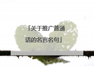 关于推广普通话的名言名句
