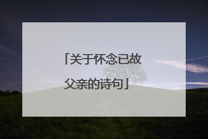 关于怀念已故父亲的诗句