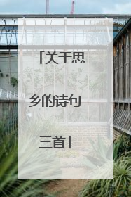 关于思乡的诗句三首