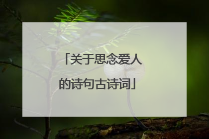 关于思念爱人的诗句古诗词