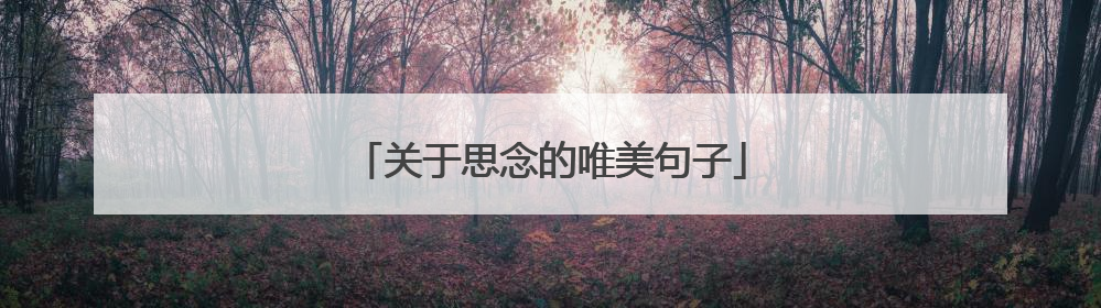 关于思念的唯美句子