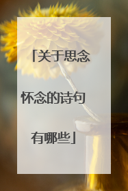 关于思念怀念的诗句有哪些